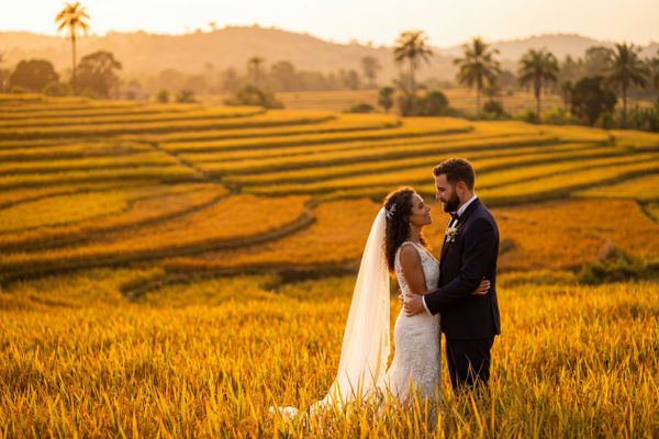 Golden Rice Fields of Bafatá wedding photography Golden Rice Fields of Bafatá wedding photography Bafatá
