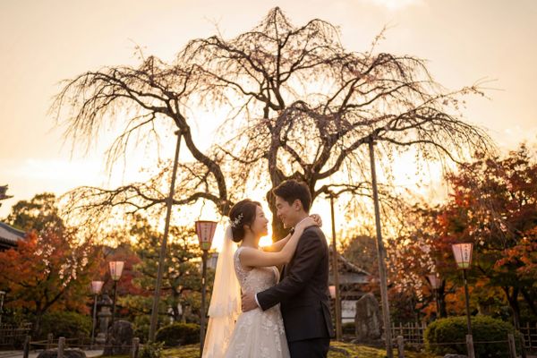 Maruyama Park wedding photography Maruyama Park wedding photography Kyoto